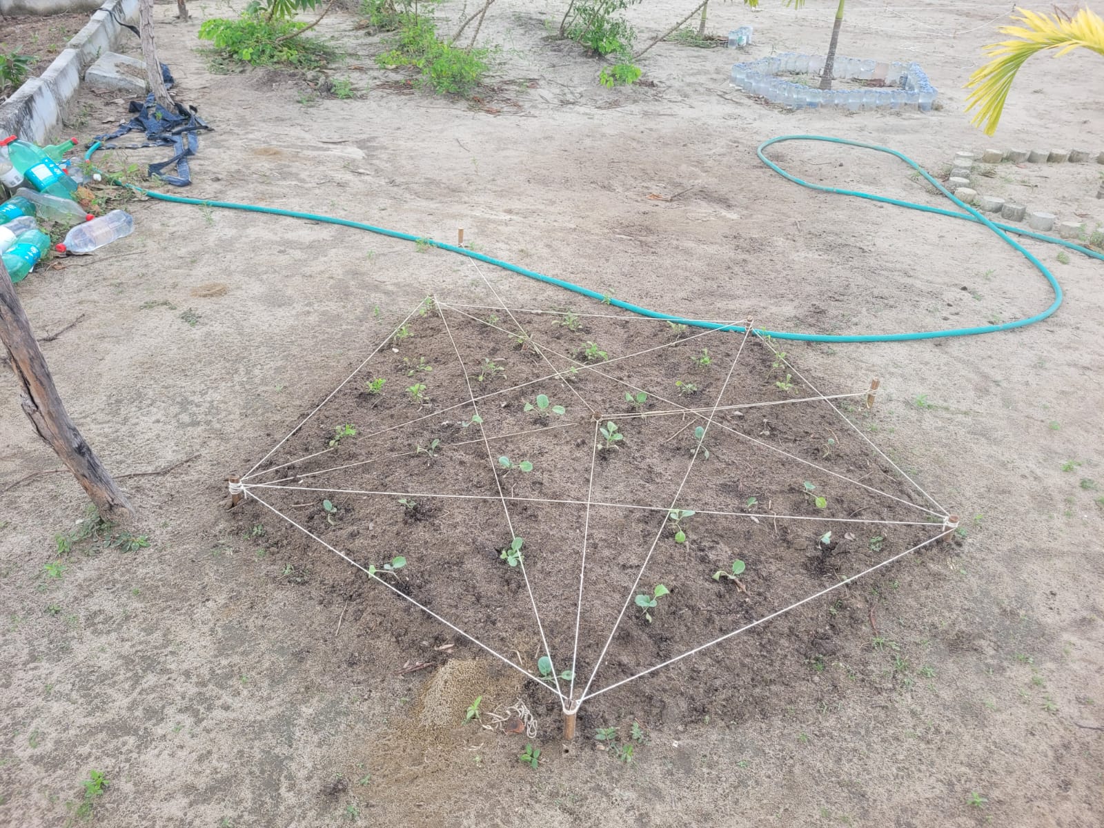 Imagem do projeto de ensino da geometria plana na construção de canteiros do LABVIVO